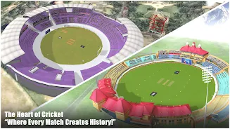 Champions Cricket League™CCL24 Screenshot5