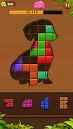 Brain Games-Block Puzzle Screenshot8