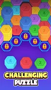 Hex Sort: Hexa stack puzzle Screenshot3