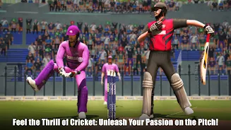 Champions Cricket League™CCL24 Screenshot4