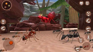 The Ant Colony Simulator Screenshot8