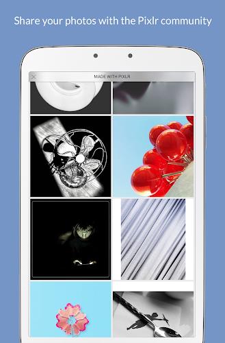 Pixlr – Photo Editor Screenshot8