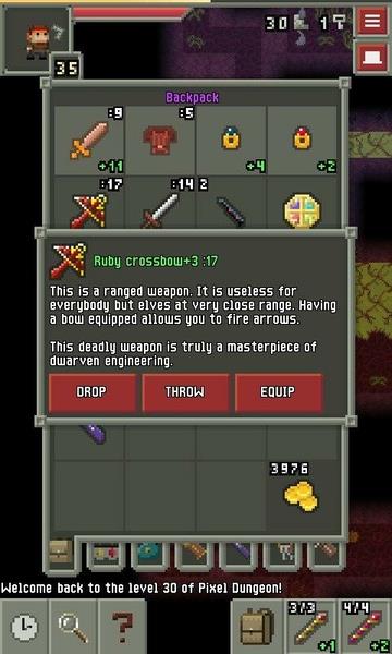 Remixed Pixel Dungeon Screenshot18