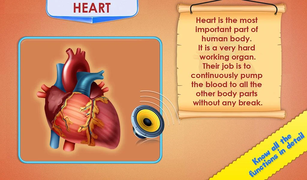 Human Body Parts - Kids Games Screenshot3