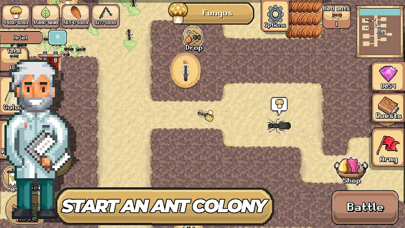 Pocket Ants: Colony Simulator Screenshot3