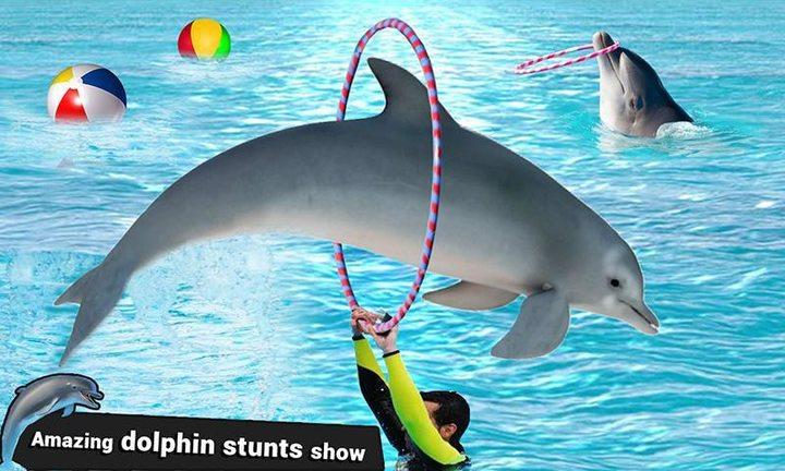 Dolphin Water Stunts Show Screenshot2