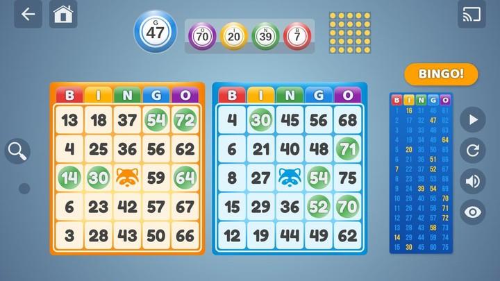 Bingo Set Screenshot1