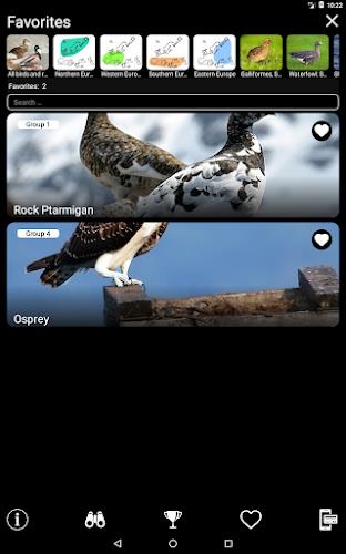 Birds of Europe Field Guide Screenshot18