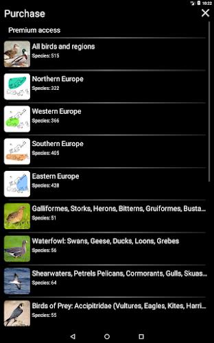 Birds of Europe Field Guide Screenshot24