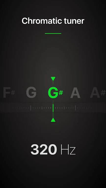 Guitar Tuner Pro: Music Tuning Screenshot8