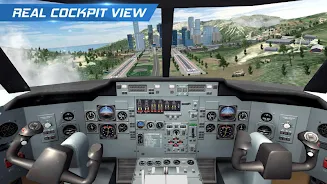 Airplane Flight Pilot Screenshot1