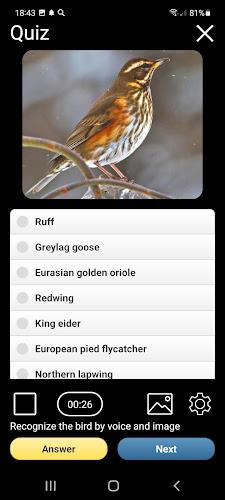 Birds of Europe Field Guide Screenshot6