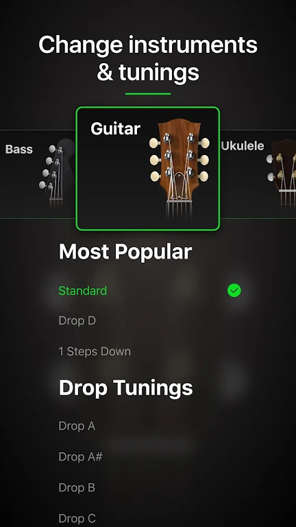 Guitar Tuner Pro: Music Tuning Screenshot5