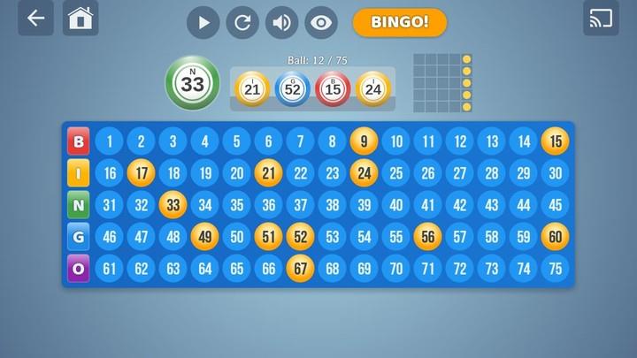 Bingo Set Screenshot4