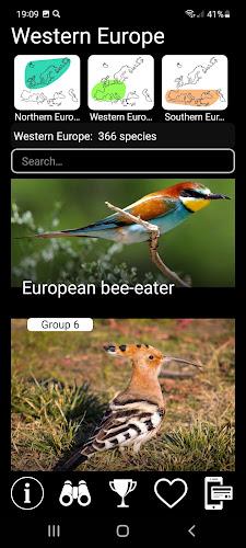 Birds of Europe Field Guide Screenshot2