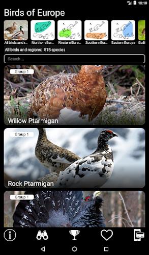 Birds of Europe Field Guide Screenshot9