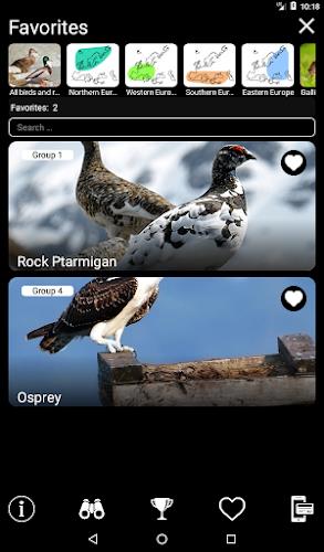 Birds of Europe Field Guide Screenshot10