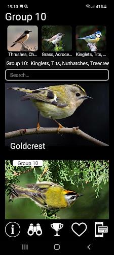 Birds of Europe Field Guide Screenshot5