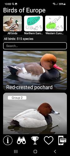 Birds of Europe Field Guide Screenshot1