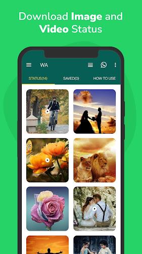 Status Download for WhatsApp Screenshot14