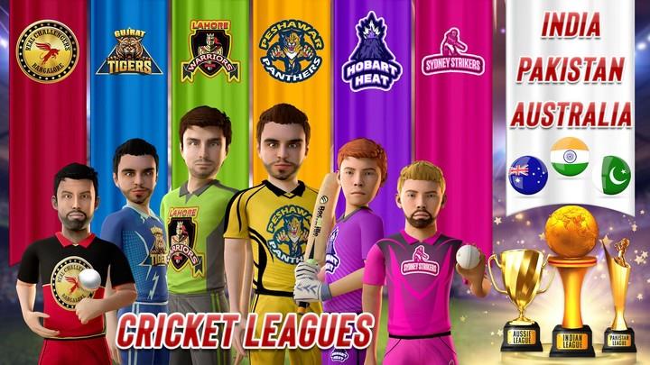 RVG Cricket Game T20 World Cup Screenshot5