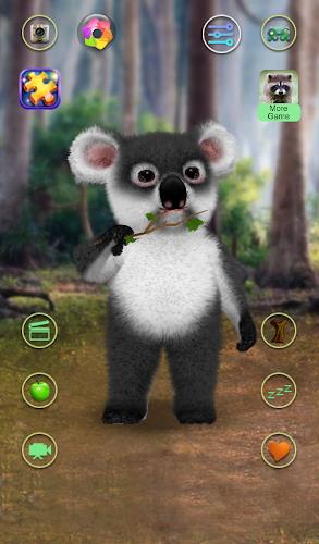 Talking Koala Bear Screenshot2