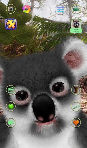 Talking Koala Bear Screenshot4