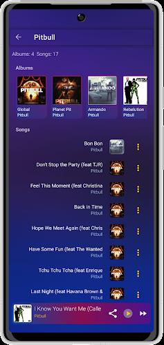 Offline Music Player: no wifi Screenshot6