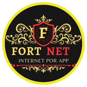 FORT NET VPN APK