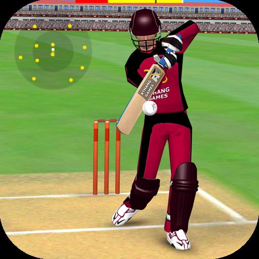 Smashing Cricket - a cricket game like none other APK