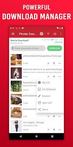 Video Downloader for Pinterest Screenshot5