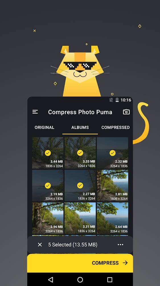 Puma Image Compressor Resizer Mod Screenshot1