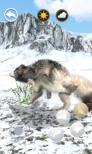 Talking Wolf Screenshot6