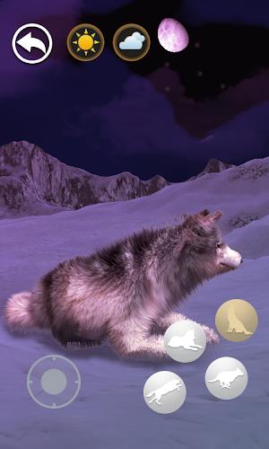 Talking Wolf Screenshot4