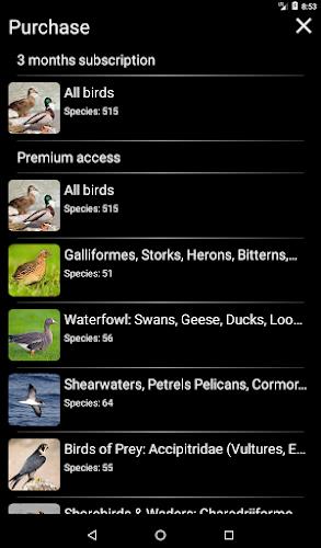 European Birds Songs & Calls Screenshot16