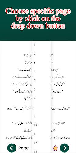 Hijab Islamic Urdu Novel Screenshot5