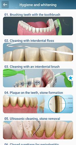 Dental 3D Illustrations Screenshot4