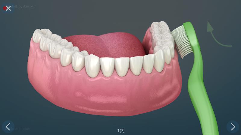 Dental 3D Illustrations Screenshot27