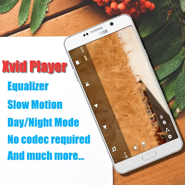 Xvid Video Codec Player Screenshot1