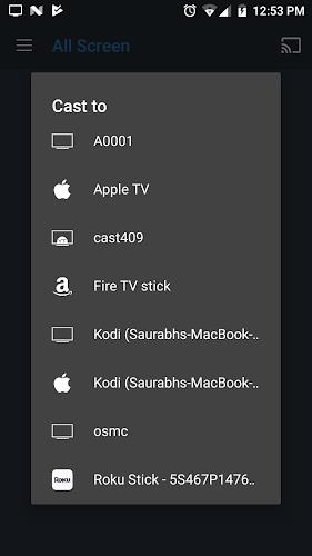 All Screen Cast to TV Roku Screenshot3