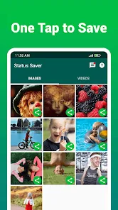 Social Downloader | Status Saver, Video Downloader Screenshot3