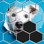 Hexa Sort Puzzle APK