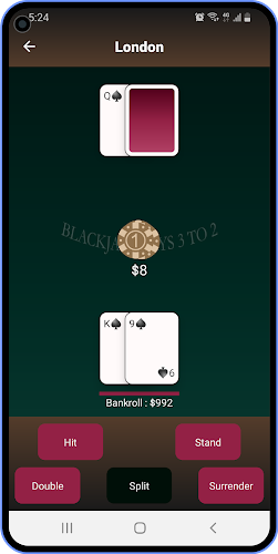Blackjack Trainer Screenshot1