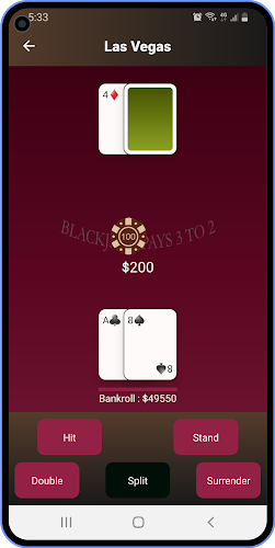 Blackjack Trainer Screenshot2