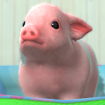 My micro pig APK