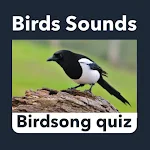 Birds Sounds: Birdsong Offline APK