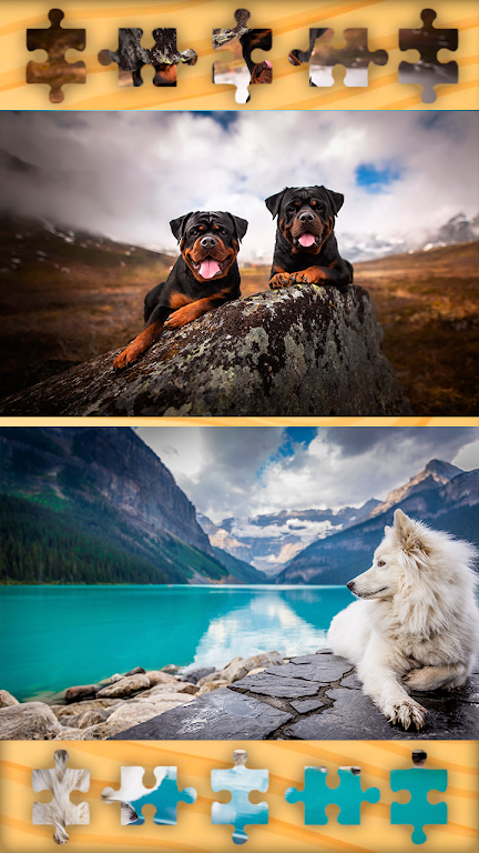 Dogs Puppies Puzzles Jigsaws Screenshot3