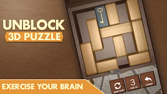 Unblock 3D Puzzle Screenshot8