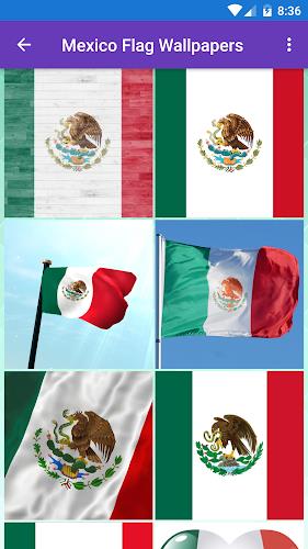 Mexico Flag Wallpaper: Flags a Screenshot1