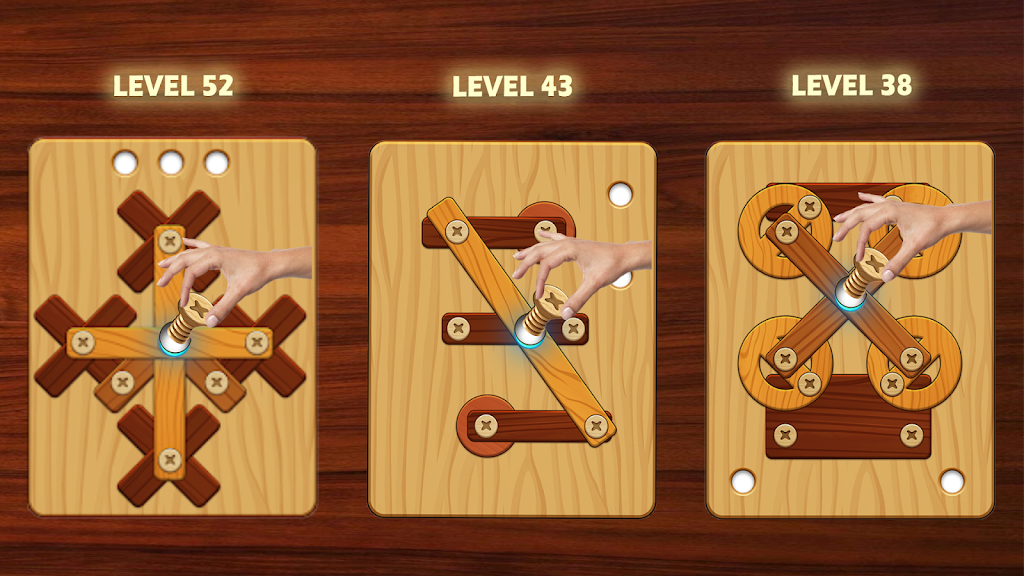 Nuts & Bolts Screw Puzzle Wood Screenshot2